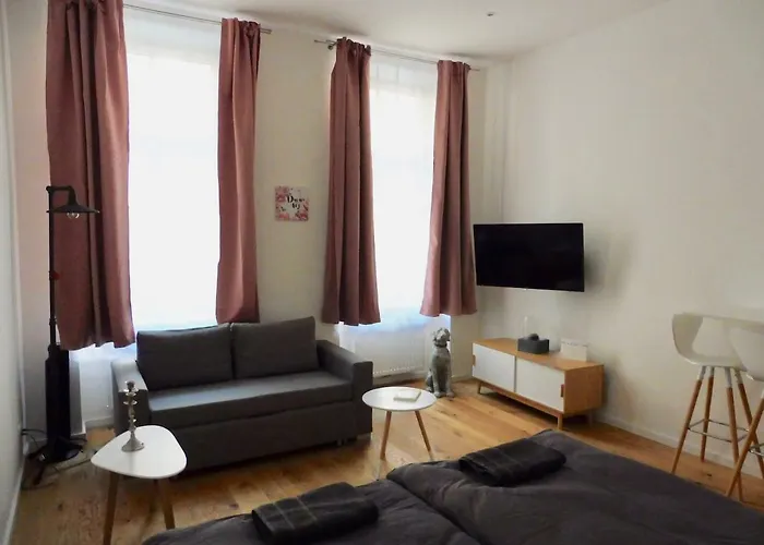 New Center Apartament *
